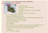 Anon takes a final