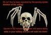 spooky spider skeleton